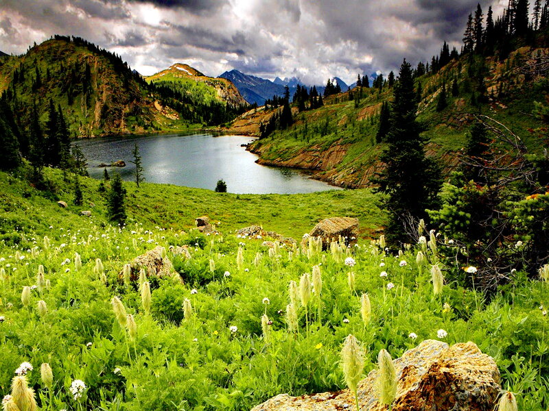 Alpine Lake and Meadow — Green