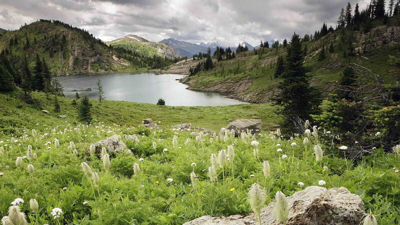 Alpine Lake and Meadow