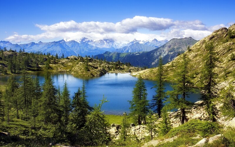 Alpine Lake and Mountains — Afternoon
