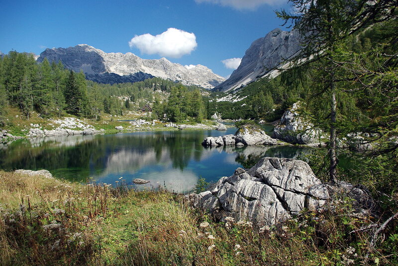 Alpine Lake and Mountains — Blue, Serene, Afternoon, Photograph, Trees, Rocks