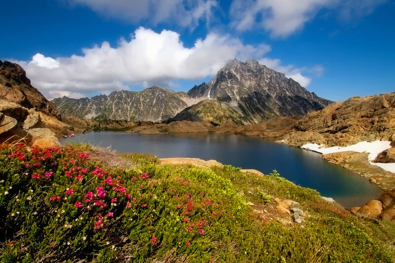 Alpine Lake and Mountains — Blue, Serene, Summer, Photograph, Flowers