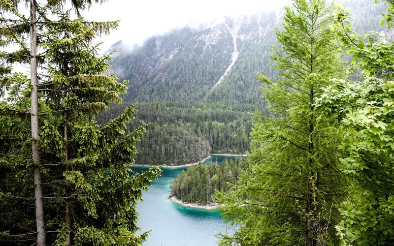 Alpine Lake in Forest — Green