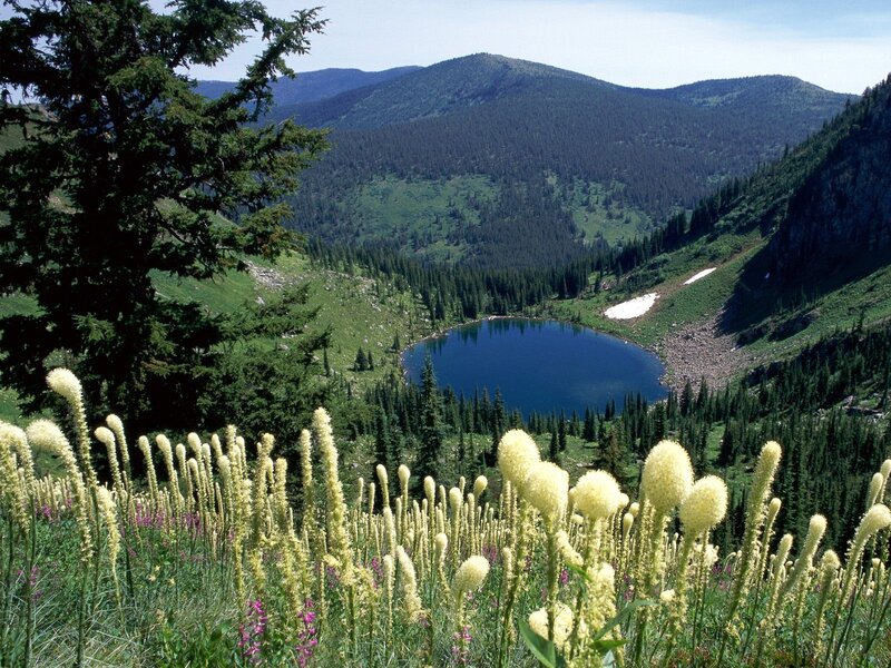 Alpine Lake in Valley — Green, Serene, Summer, Photograph, Flowers