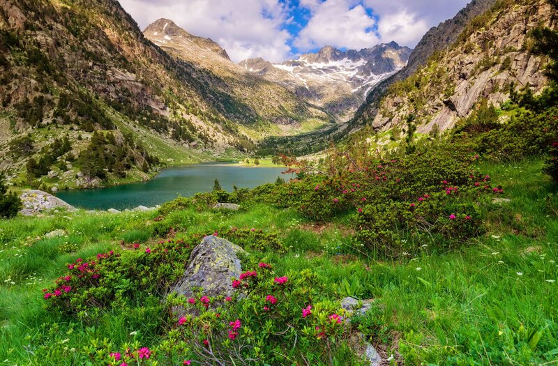 Alpine Lake in Valley — Green, Serene, Summer, Photograph, Mountains