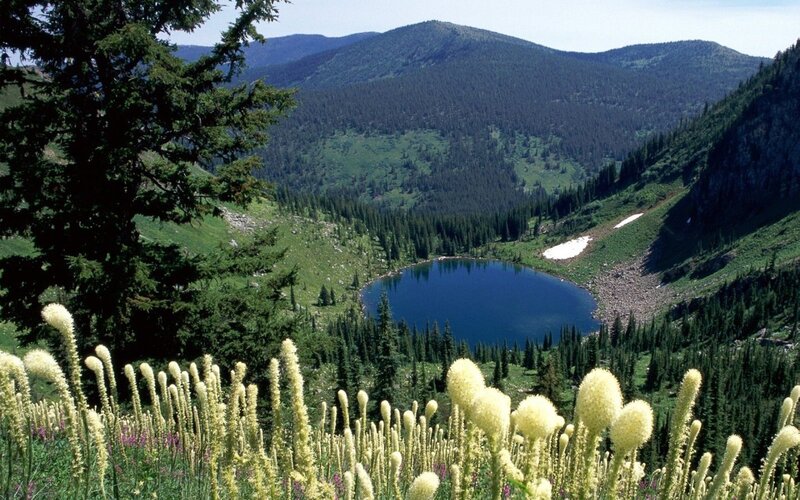 Alpine Lake in Valley — Green, Serene, Summer, Photograph, Mountains, Trees