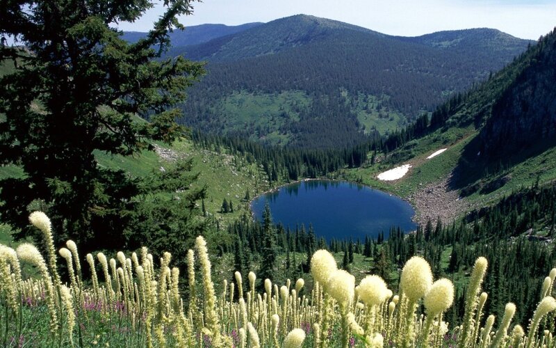 Alpine Lake in Valley — Green, Serene
