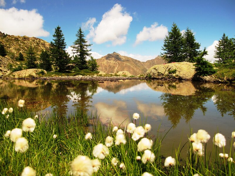 Alpine Lake with Cotton Grass — Blue
