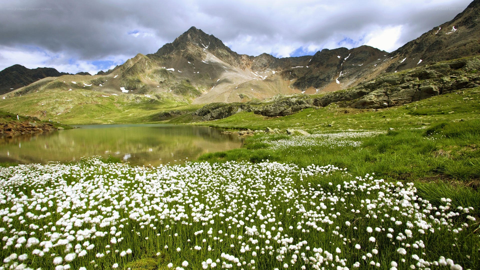 Alpine lake with cotton grass