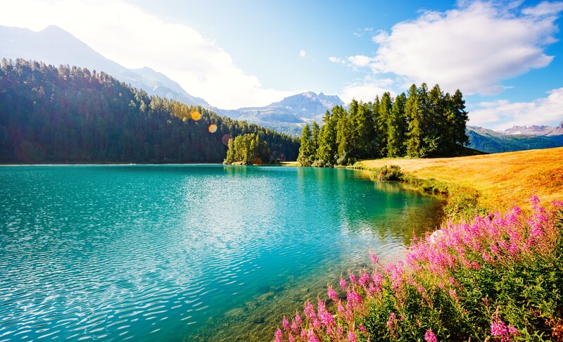 Alpine Lake with Flowers — Blue, Serene, Afternoon, Photograph