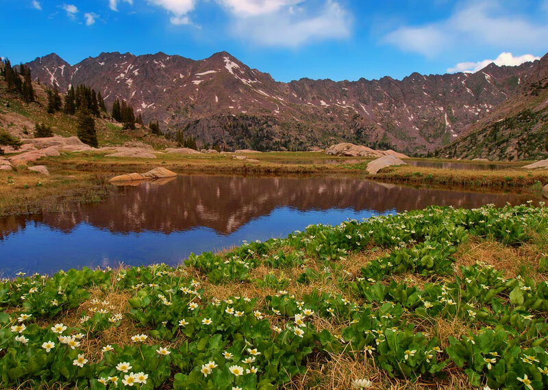 Alpine Lake with Flowers — Blue, Serene, Afternoon