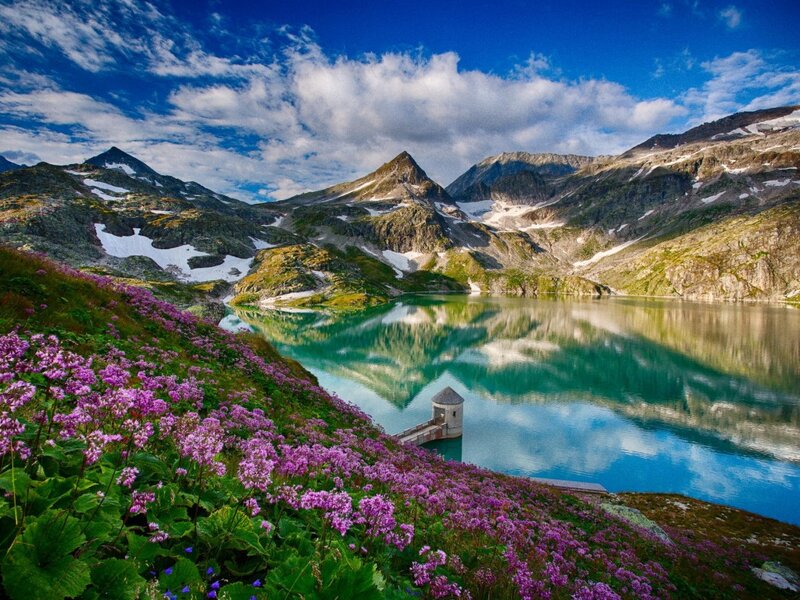 Alpine Lake with Flowers — Blue, Serene, Summer, Photograph, Mountains
