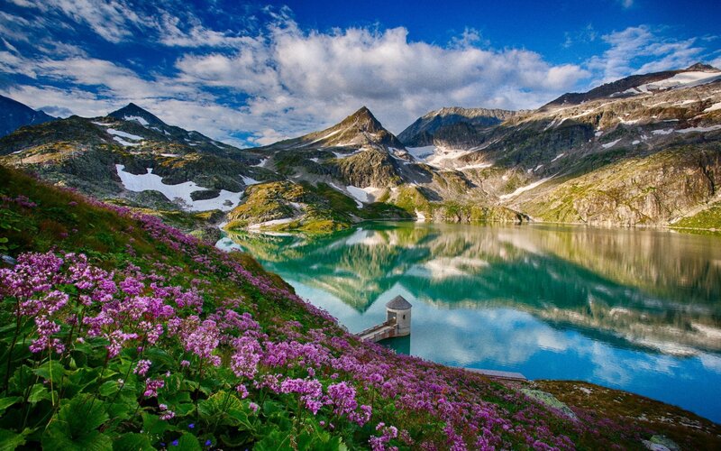 Alpine Lake with Flowers — Blue, Serene, Summer, Photograph, Mountains, Tower