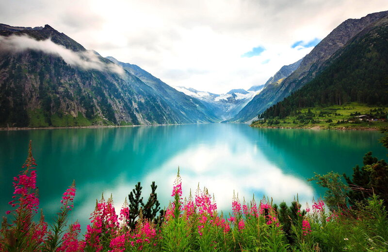 Alpine Lake with Flowers — Blue, Serene, Summer, Photograph, Mountains, Trees