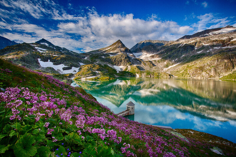 Alpine Lake with Flowers — Blue, Serene, Summer, Photograph