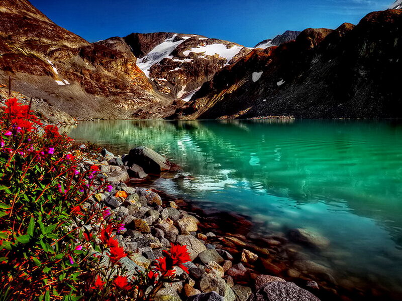 Alpine Lake with Flowers — Blue, Serene