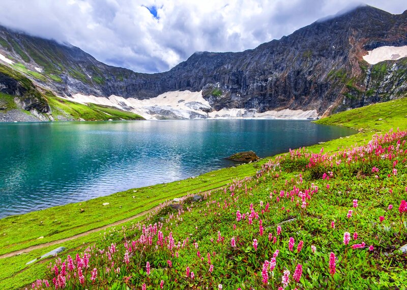 Alpine Lake with Flowers — Green, Serene, Summer, Photograph