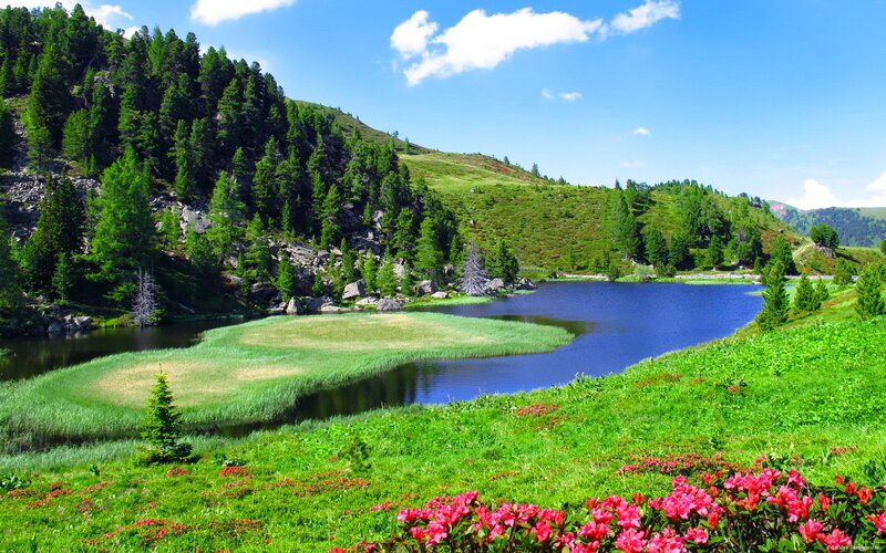 Alpine Lake with Flowers — Green, Serene, Summer