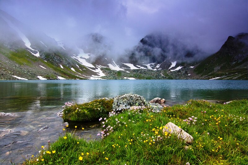 Alpine Lake with Flowers — Green, Serene
