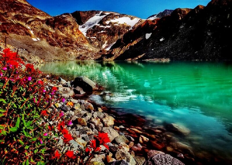 Alpine Lake with Flowers — Green