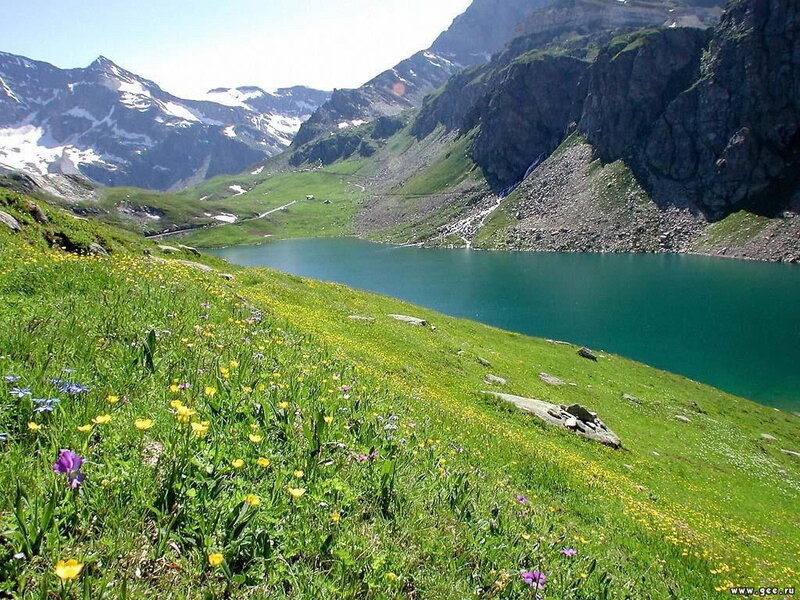 Alpine Lake with Flowers