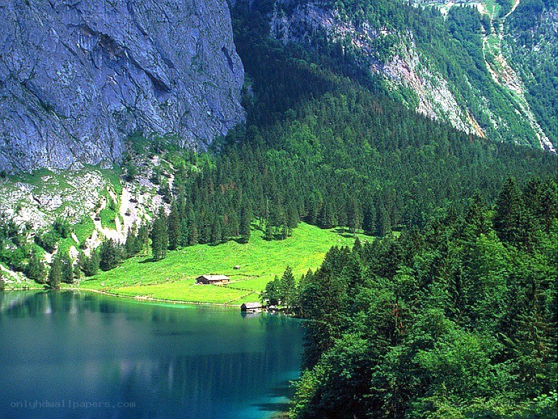 alpine lake with forested mountains