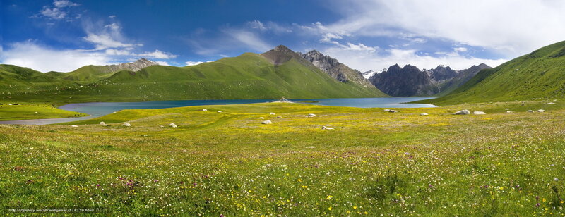 alpine lake with green hills