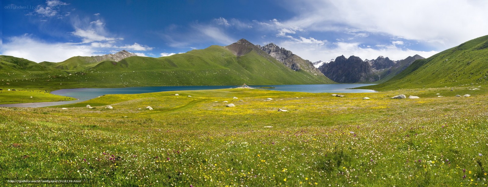 alpine lake with green hills