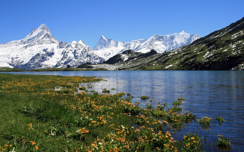 Alpine lake with mountain view