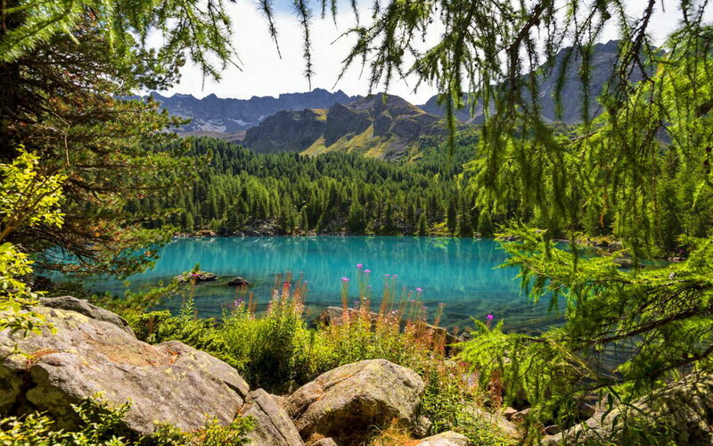 Alpine Lake with Mountains — Blue, Serene, Afternoon, Photograph, Forest