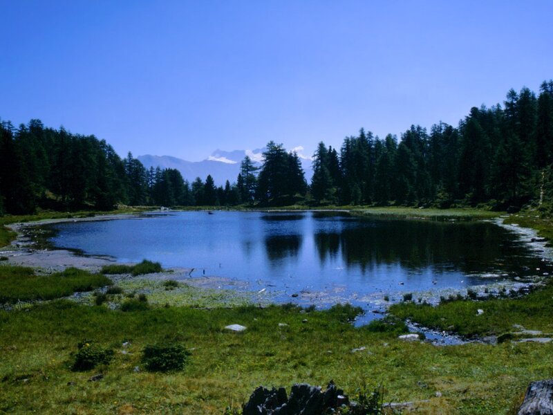 Alpine Lake with Mountains — Blue, Serene, Afternoon, Photograph, Trees, Grass