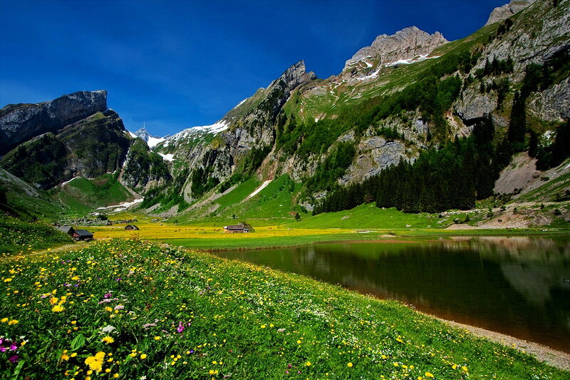 Alpine Lake with Mountains — Blue, Serene, Summer, Photograph, Flowers, Huts