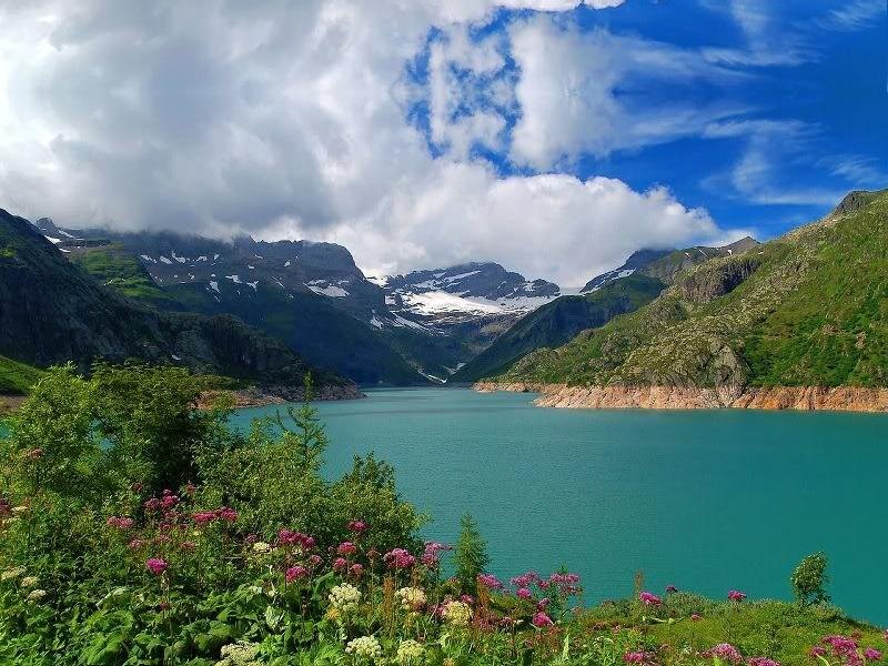 Alpine Lake with Mountains — Blue, Serene, Summer, Photograph, Flowers, Sky