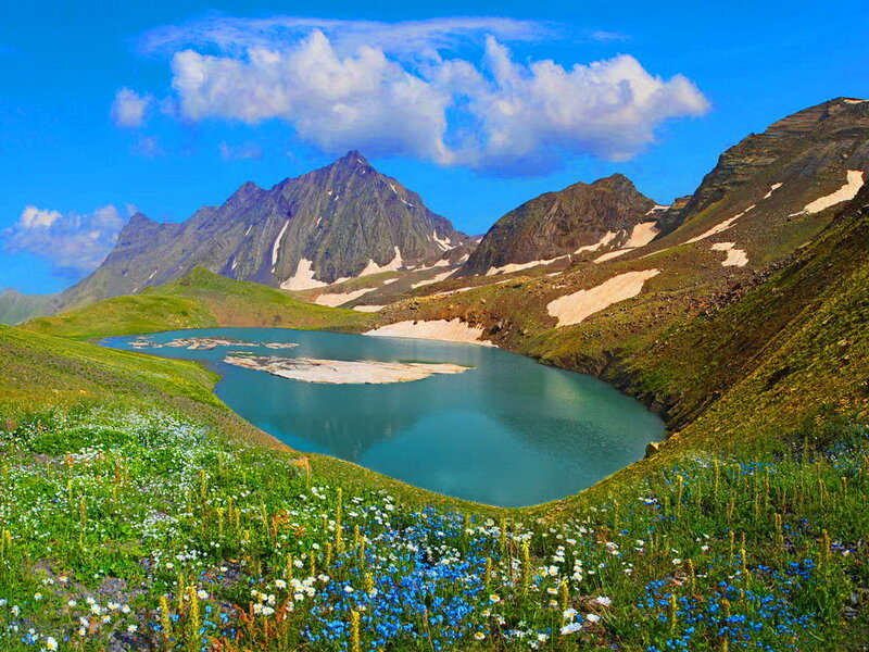 Alpine Lake with Mountains — Blue, Serene, Summer, Photograph, Flowers