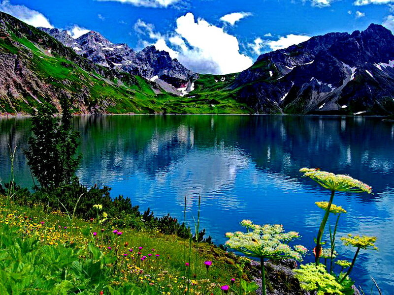 Alpine Lake with Mountains — Blue, Serene, Summer, Photograph, Flowers, Trees