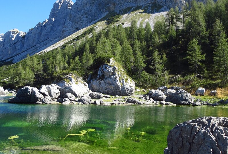 Alpine Lake with Mountains — Green, Serene, Afternoon, Photograph, Trees, Rocks