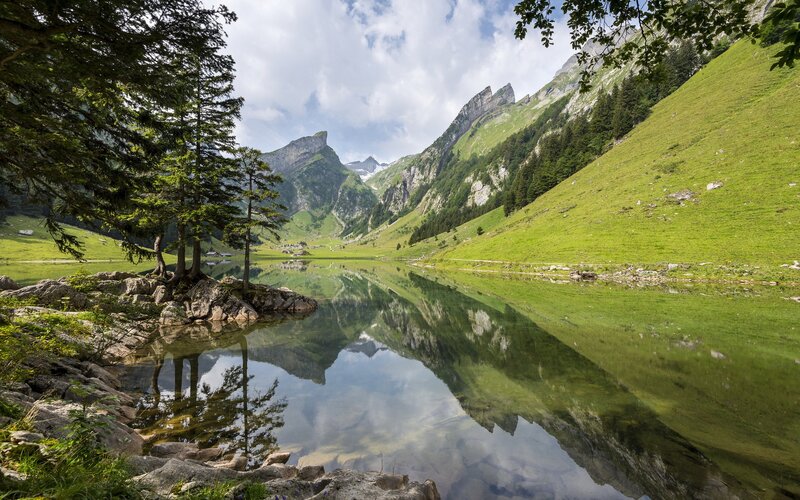 Alpine Lake with Mountains — Green, Serene, Afternoon, Photograph, Trees