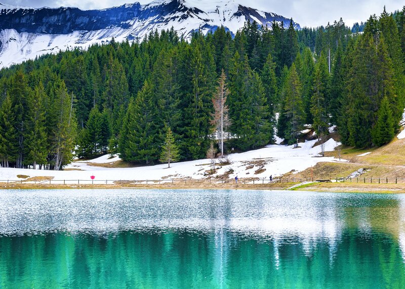 Alpine Lake with Mountains — Green, Serene, Spring
