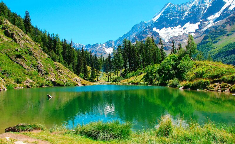 Alpine Lake with Mountains — Green, Serene, Summer, Photograph, Trees