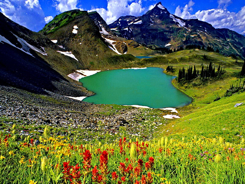 Alpine Lake with Mountains — Green