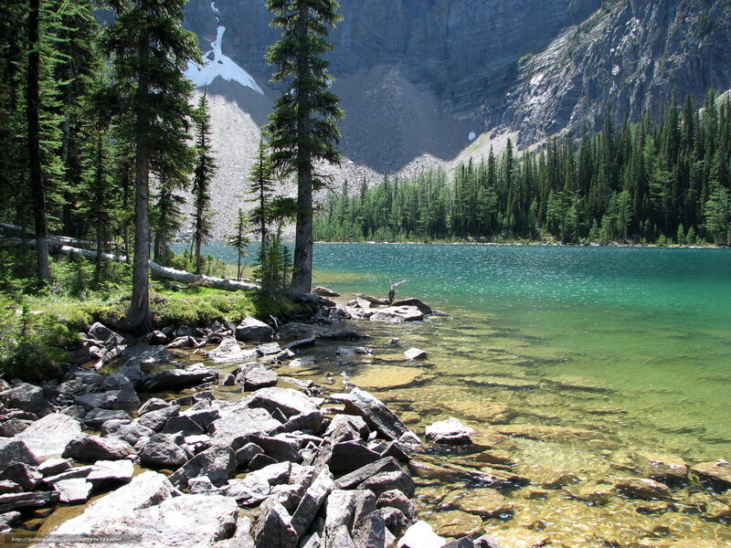 Alpine Lake with Pine Trees