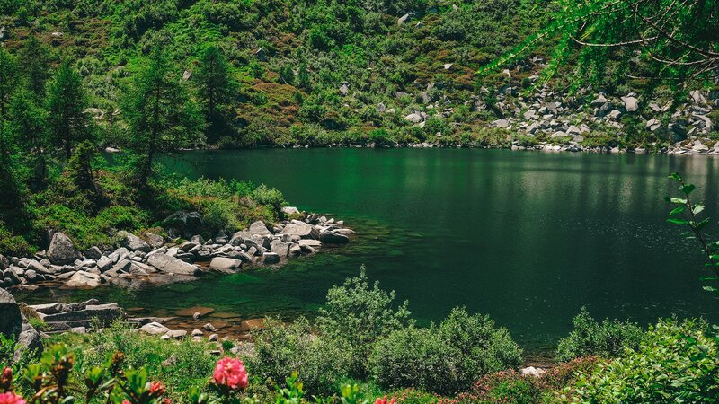 Alpine Lake with Rocks — Green
