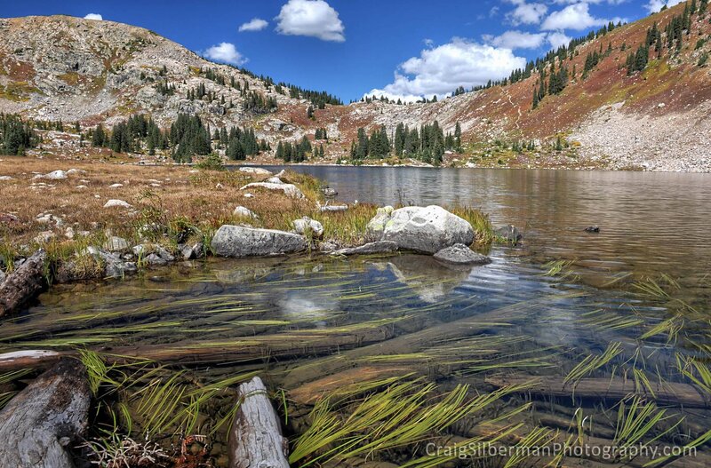 Alpine Lake with Rocks