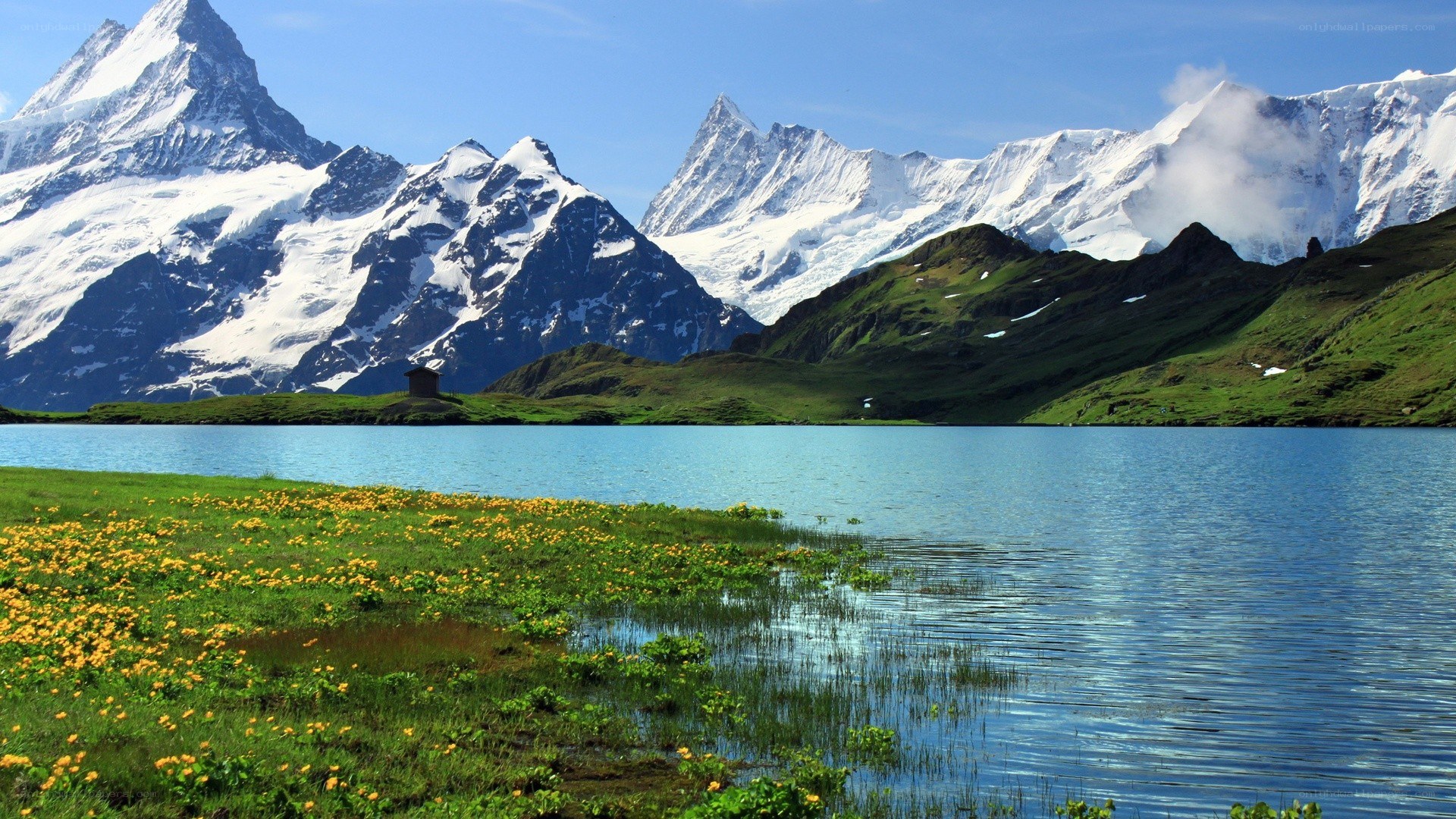 Alpine lake with snow-capped peaks