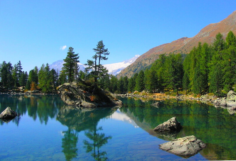 Alpine Lake with Trees