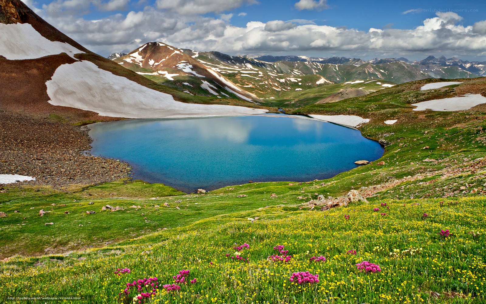 alpine lake with wildflowers
