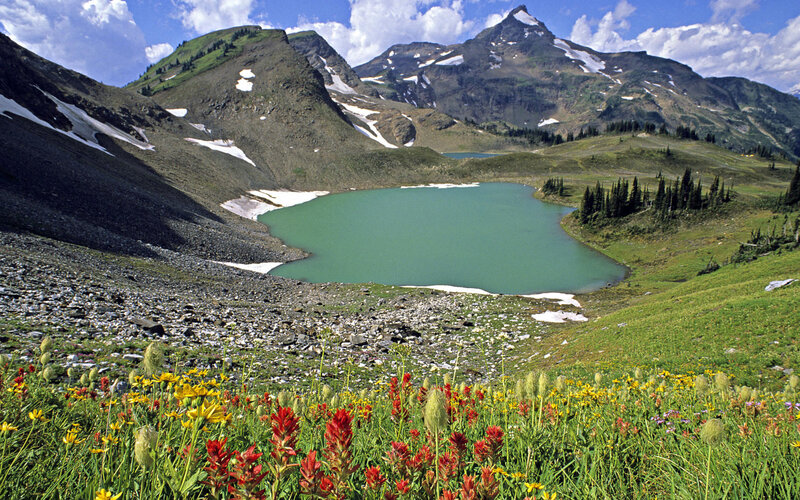 alpine lake with wildflowers