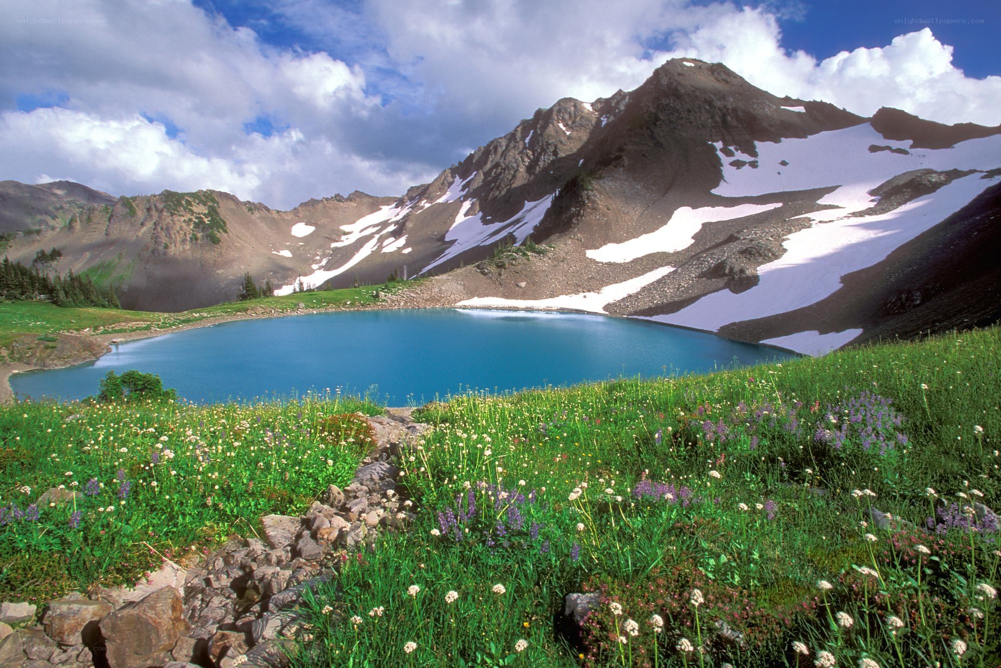alpine lake with wildflowers