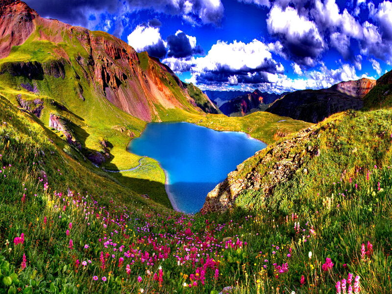 Alpine Lake with Wildflowers — Blue, Dramatic