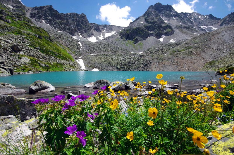 Alpine Lake with Wildflowers — Blue, Serene, Summer, Photograph