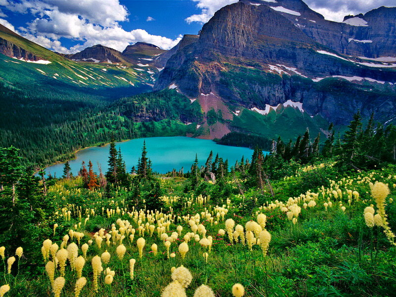 Alpine Lake with Wildflowers — Blue, Serene, Summer